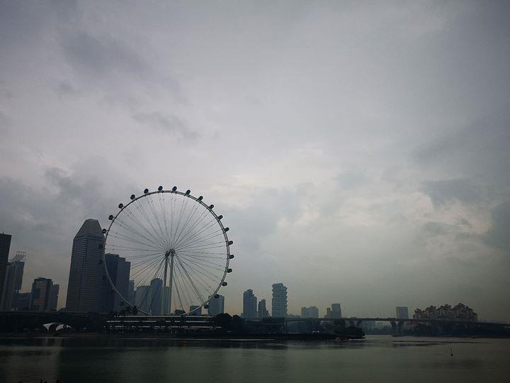 gardens-by-the-bay59 Singapore-Gardens by the Bay之Flower Dome/Cloud Forest新加坡的巨大溫室...盛夏最好的去處