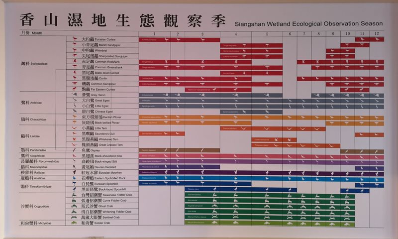 like81708 新竹-國家級香山濕地 美麗落日 Like 8咖啡廳飲料美食 好搭配