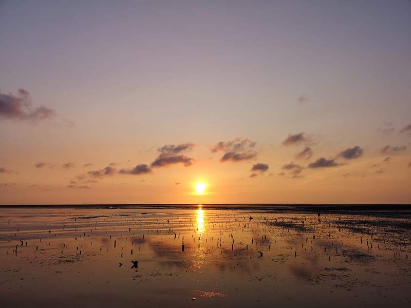 like81718 新竹-國家級香山濕地 美麗落日 Like 8咖啡廳飲料美食 好搭配