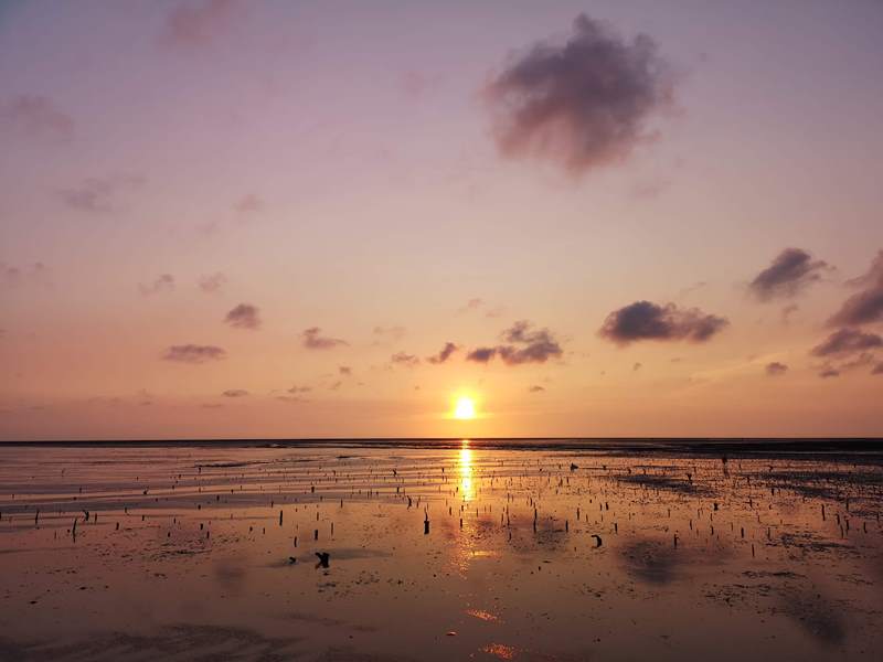like81720 新竹-國家級香山濕地 美麗落日 Like 8咖啡廳飲料美食 好搭配
