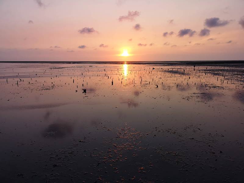 like81721 新竹-國家級香山濕地 美麗落日 Like 8咖啡廳飲料美食 好搭配