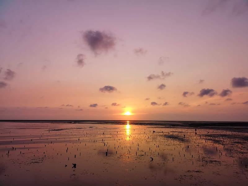 like81722 新竹-國家級香山濕地 美麗落日 Like 8咖啡廳飲料美食 好搭配