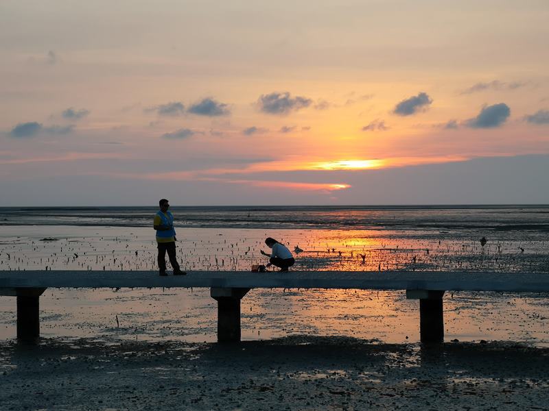 like81728 新竹-國家級香山濕地 美麗落日 Like 8咖啡廳飲料美食 好搭配