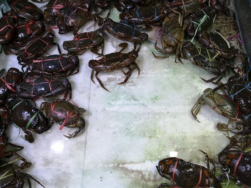 samsui04 Kuala Lumpur-山水菜魚酒家 吉隆坡也有在山上水邊的秘境餐廳