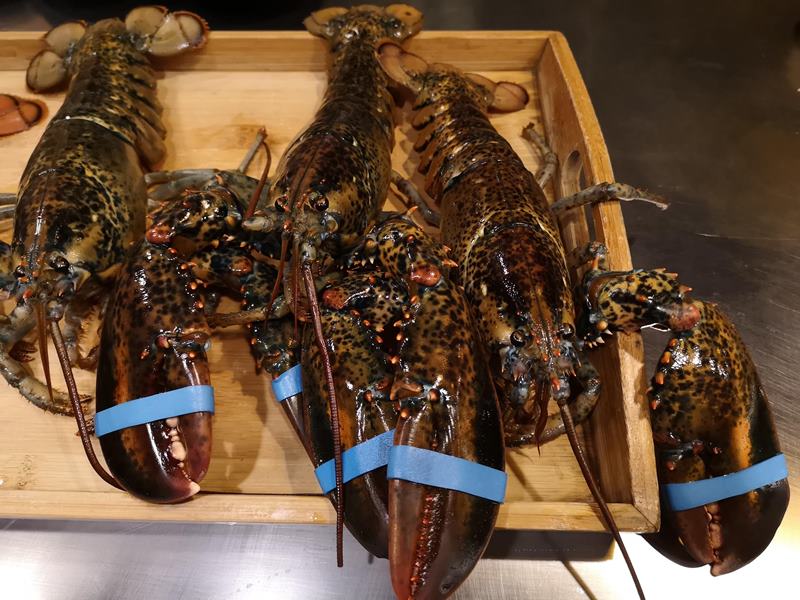 santei07 中壢-三鐵鐵板燒 中原隱藏版需預約鐵板燒 食材新鮮好吃