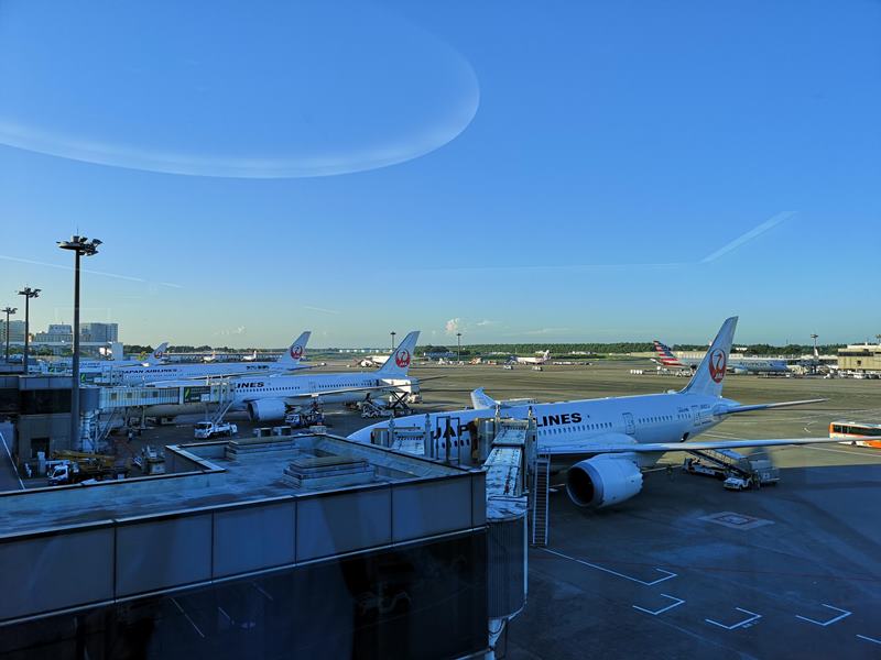 201808HND10 201808松山羽田成田桃園  A350-900首搭乘