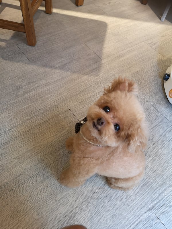 barbariancafe17 中壢-野人時光咖啡 樣樣精彩的咖啡小店