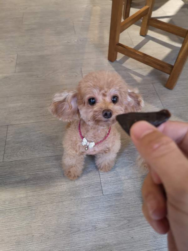 barbariancafe18 中壢-野人時光咖啡 樣樣精彩的咖啡小店