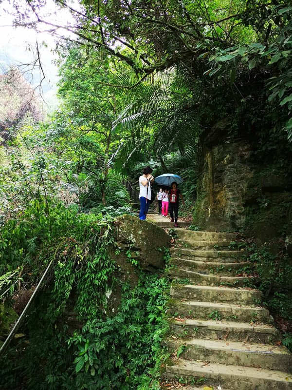 galaxycave04 新店-銀河洞 人氣秘境 走一趟深呼吸感受銀河洞的仙氣