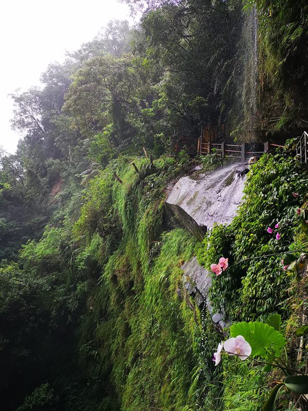 galaxycave32 新店-銀河洞 人氣秘境 走一趟深呼吸感受銀河洞的仙氣