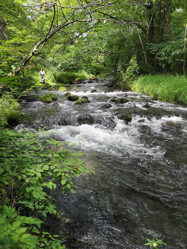 karuizawafood0111 Karuizawa-中輕井澤 星野地區村民食堂 藏在綠意中的好吃餐廳