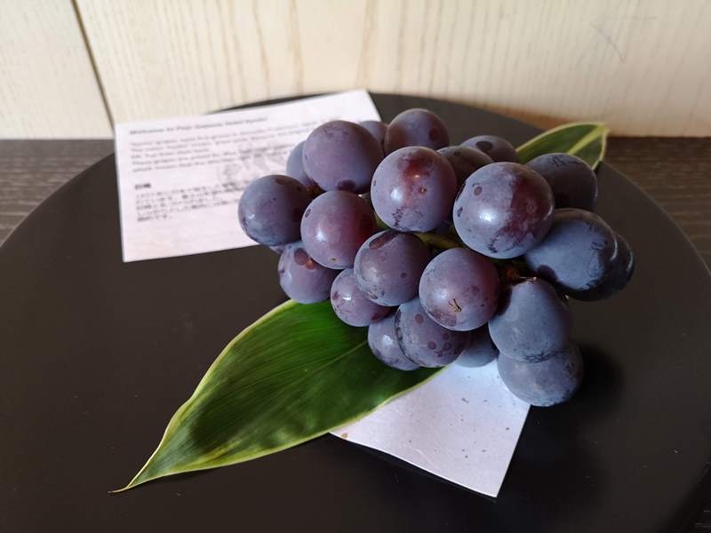 fourseasonskyoto28 Kyoto-Four Seasons Kyoto日式優雅 充分展現京都之美的京都四季酒店