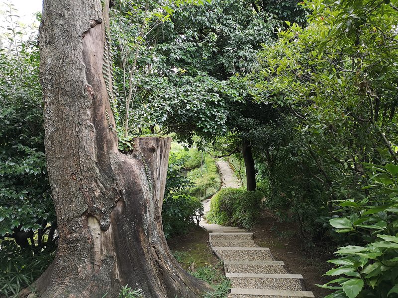 fourseasonskyoto61 Kyoto-Four Seasons Kyoto日式優雅 充分展現京都之美的京都四季酒店