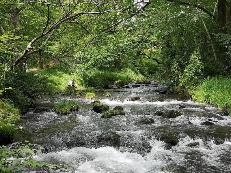 karuizawastreett17 Karuizawa-中輕井澤星野地區 榆樹街小鎮/高原教堂/石之教堂 品一口綠意的優閒雅致