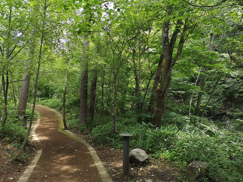 karuizawastreett19 Karuizawa-中輕井澤星野地區 榆樹街小鎮/高原教堂/石之教堂 品一口綠意的優閒雅致