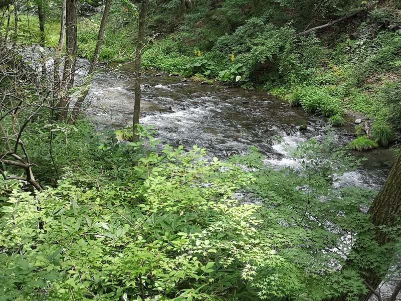 karuizawastreett20 Karuizawa-中輕井澤星野地區 榆樹街小鎮/高原教堂/石之教堂 品一口綠意的優閒雅致