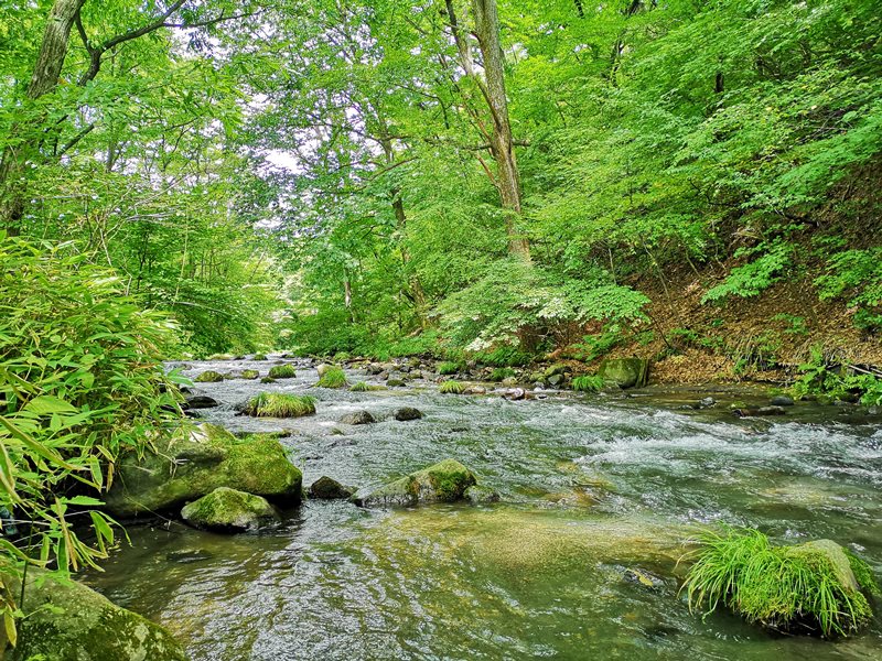Karuizawa-中輕井澤星野地區 榆樹街小鎮/高原教堂/石之教堂 品一口綠意的優閒雅致
