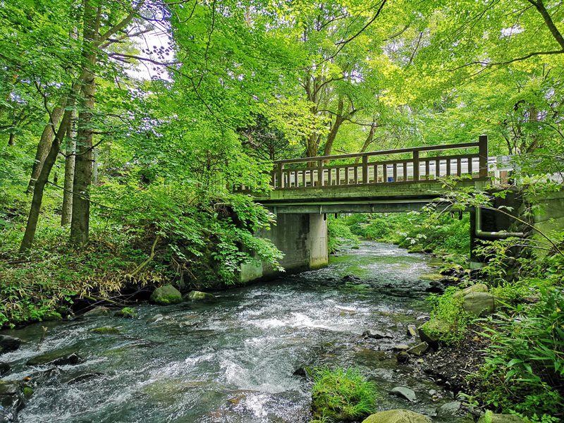 karuizawastreett22 Karuizawa-中輕井澤星野地區 榆樹街小鎮/高原教堂/石之教堂 品一口綠意的優閒雅致