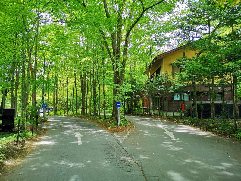 karuizawastreett23 Karuizawa-中輕井澤星野地區 榆樹街小鎮/高原教堂/石之教堂 品一口綠意的優閒雅致