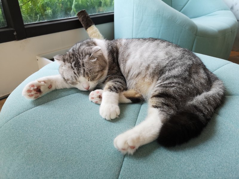 liscafe08 桃園-Li's 俐思咖啡 滿滿粉紅泡泡的北歐風咖啡管 手沖推廣台灣豆 好喝