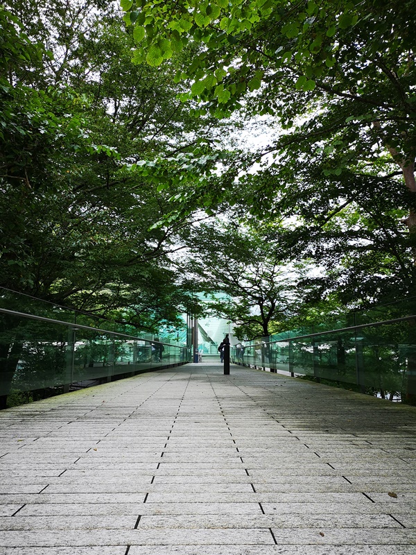 polamuseum03 Hakone-箱根Pola Museum of Art森林中的綠寶石 自然與人文兼具的美術館