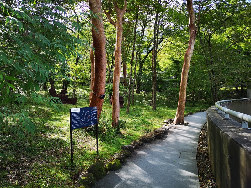 polamuseum20 Hakone-箱根Pola Museum of Art森林中的綠寶石 自然與人文兼具的美術館