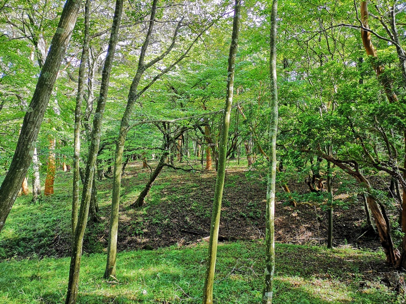 polamuseum29 Hakone-箱根Pola Museum of Art森林中的綠寶石 自然與人文兼具的美術館