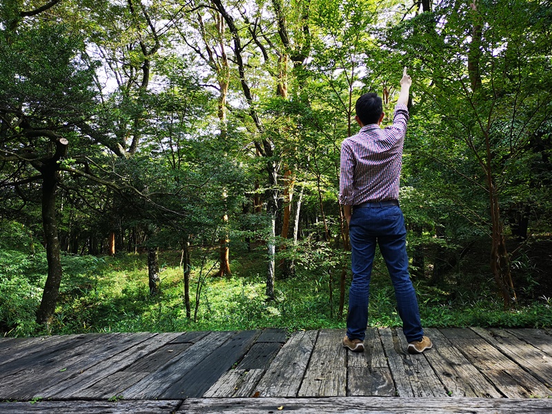 polamuseum30 Hakone-箱根Pola Museum of Art森林中的綠寶石 自然與人文兼具的美術館