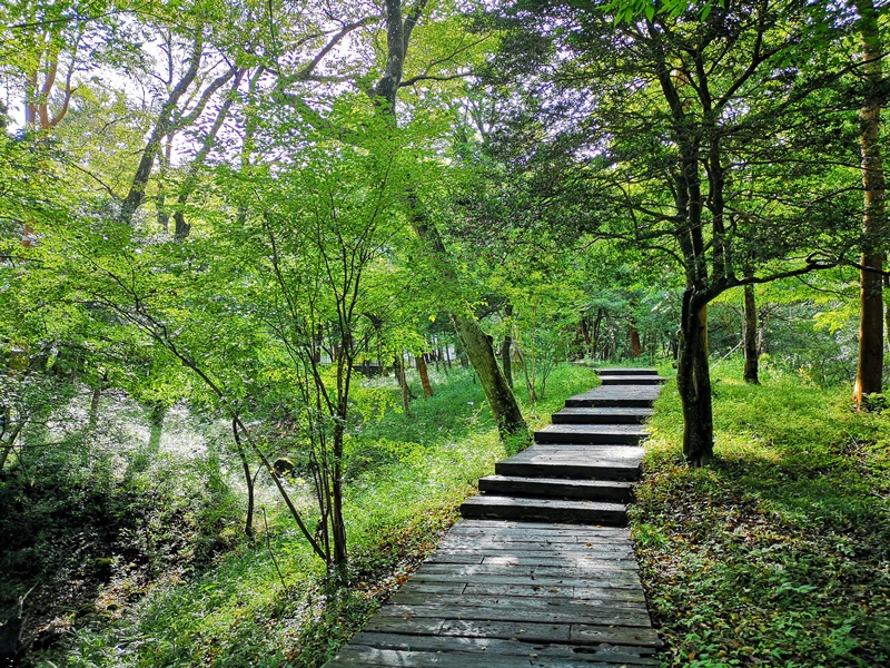 polamuseum31 Hakone-箱根Pola Museum of Art森林中的綠寶石 自然與人文兼具的美術館