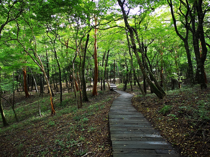 polamuseum35 Hakone-箱根Pola Museum of Art森林中的綠寶石 自然與人文兼具的美術館