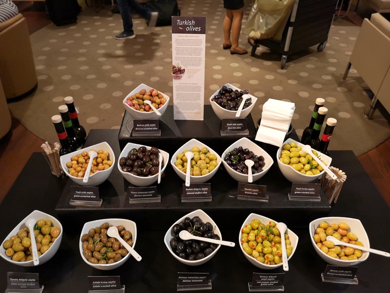 flytk025380148 201810台北伊斯坦堡巴塞隆納 TK025商務艙飛行