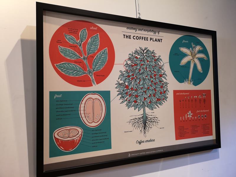 artisan15 前金-Artisan Cafe美森咖啡 手沖搭甜點輕鬆自在