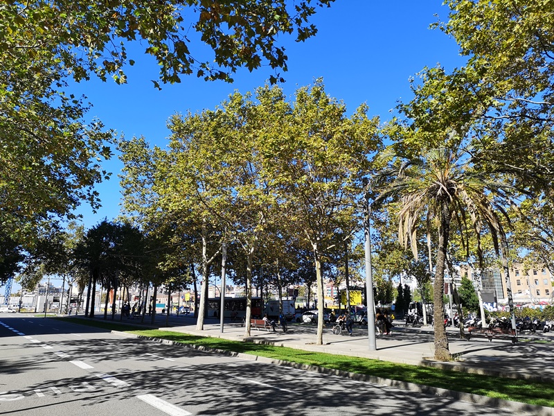 bcn4P04 Barcelona-巴塞隆納Four Points by Sheraton Barcelona Diagonal簡單商務的福朋