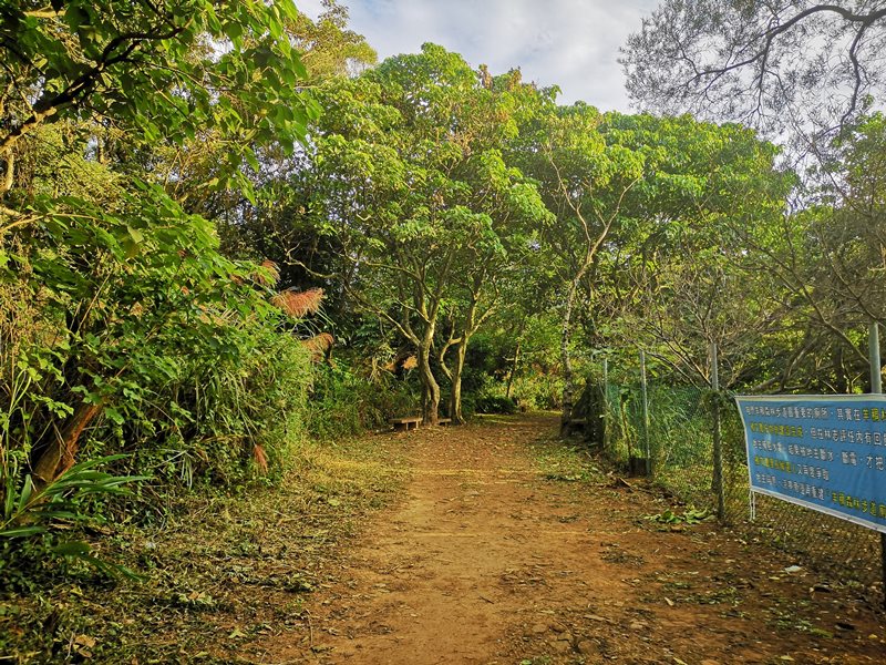 goatpath03 蘆竹-羊稠步道 秋高氣爽散步看高鐵賞落日