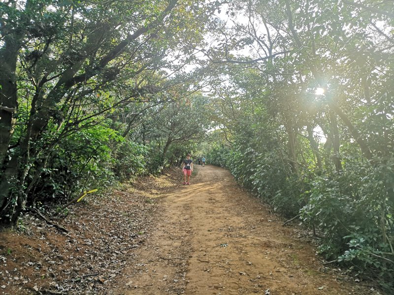 goatpath05 蘆竹-羊稠步道 秋高氣爽散步看高鐵賞落日