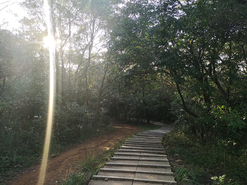 goatpath09 蘆竹-羊稠步道 秋高氣爽散步看高鐵賞落日