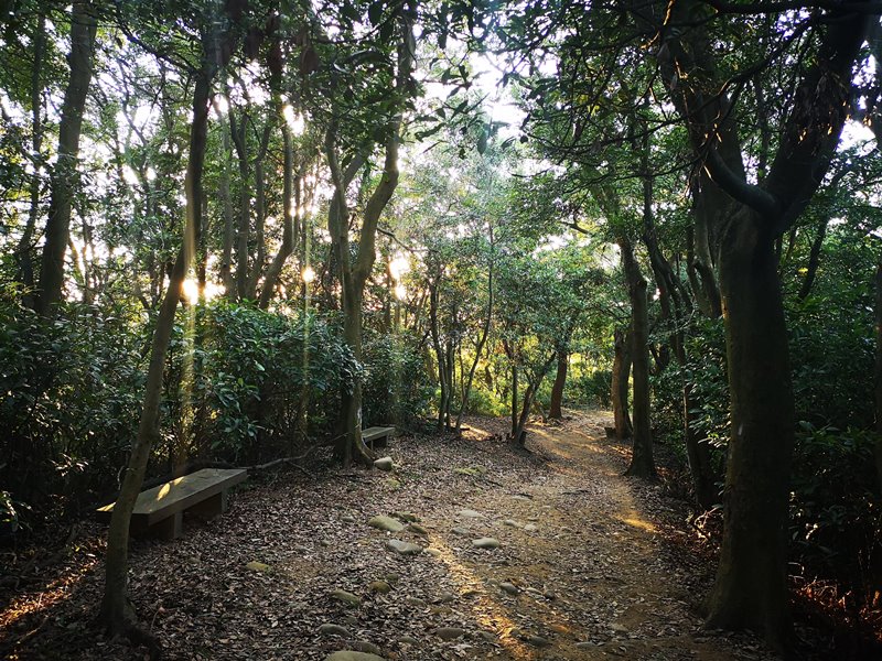 goatpath15 蘆竹-羊稠步道 秋高氣爽散步看高鐵賞落日