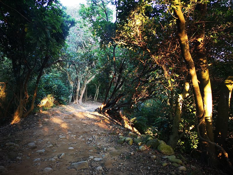 goatpath16 蘆竹-羊稠步道 秋高氣爽散步看高鐵賞落日