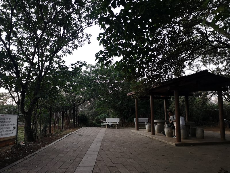 goatpath21 蘆竹-羊稠步道 秋高氣爽散步看高鐵賞落日