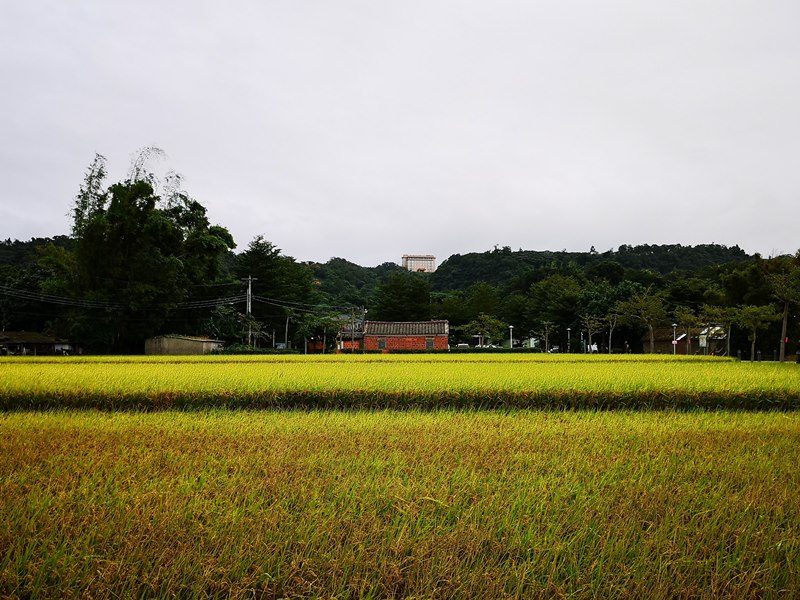 litangfeng31 大溪-李騰芳古宅 桃園唯一國定古蹟 清幽的環境寯永的建築設計