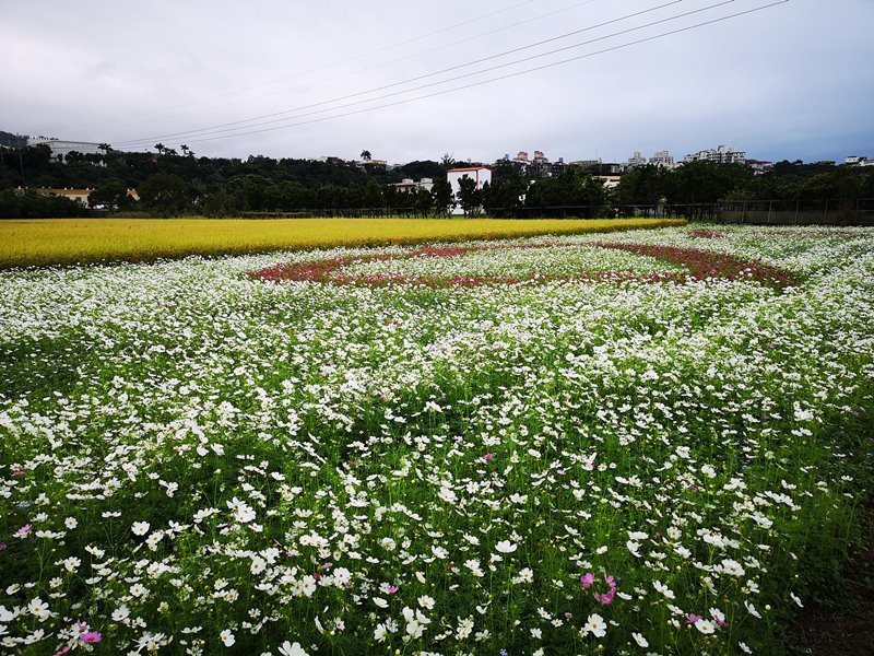 litangfeng33 大溪-李騰芳古宅 桃園唯一國定古蹟 清幽的環境寯永的建築設計