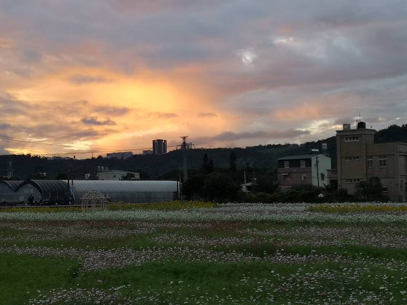 litangfeng37 大溪-李騰芳古宅 桃園唯一國定古蹟 清幽的環境寯永的建築設計