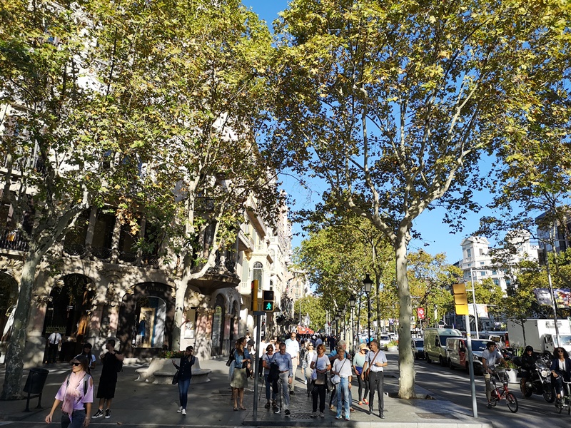 batllo1 Barcelona-巴塞隆納世界文化遺產 高第建築  巴特略之家/文森之家