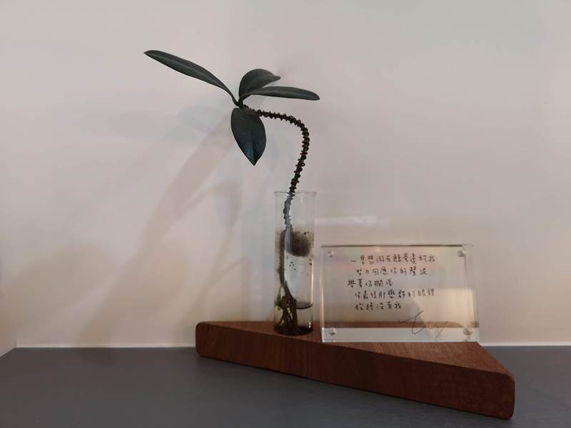 beyoutecafe10 中壢-BeYou.te Cafe做自己的咖啡館