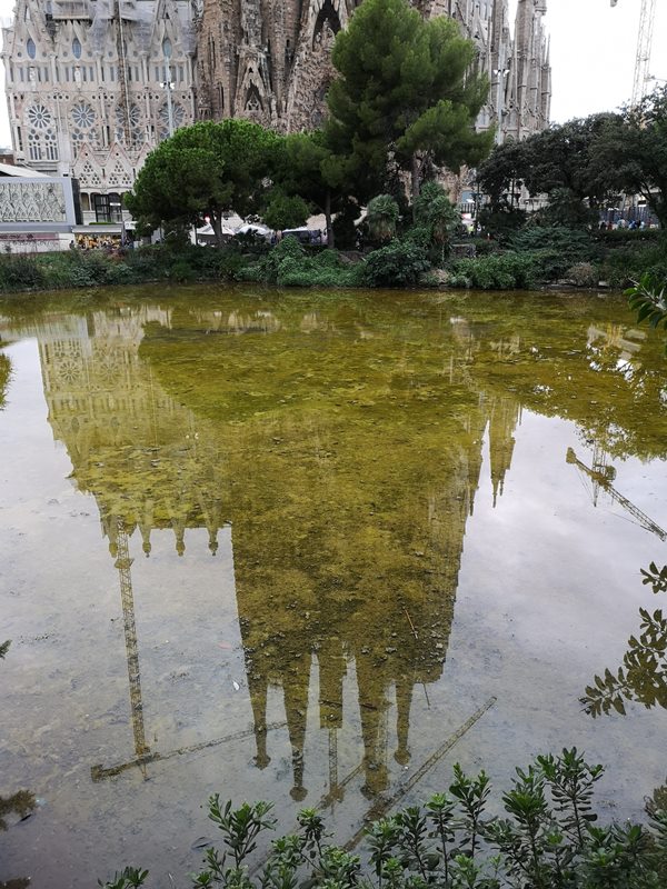 SagradaFamilia48 Barcelona-聖家堂 巴塞隆納最特色的天際線 世界文化遺產未完成