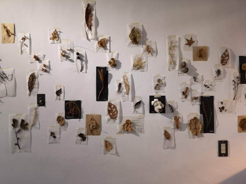 hiddeninlane11 桃園-藏巷 簡單舒適可愛 住宅區可愛小店