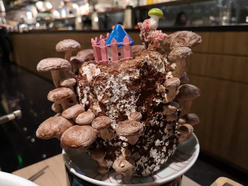 lauking14 Shanghai-撈王 上海外灘店胡椒豬肚雞湯 香濃好喝 暖心也暖胃