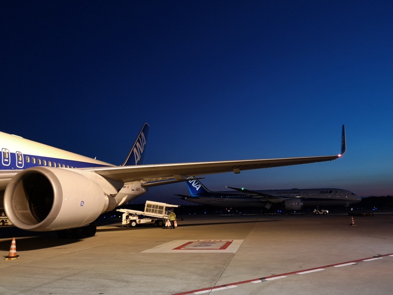 flyanahnd01 201903台北東京 全日空 最後一次白金會員...謝謝ANA