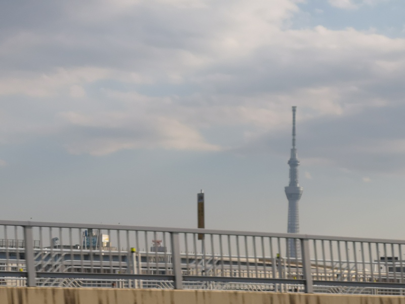 flyanahnd11 201903台北東京 全日空 最後一次白金會員...謝謝ANA