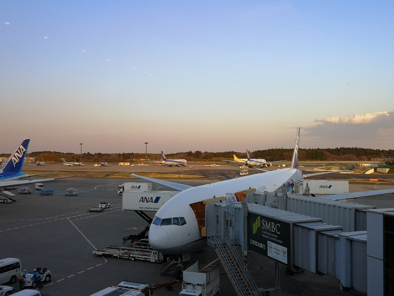 flyanahnd19 201903台北東京 全日空 最後一次白金會員...謝謝ANA